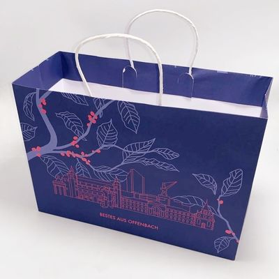 Bon prix La coutume colorée de métier a imprimé des sacs en papier réutilisés avec la poignée de papier collante en ligne