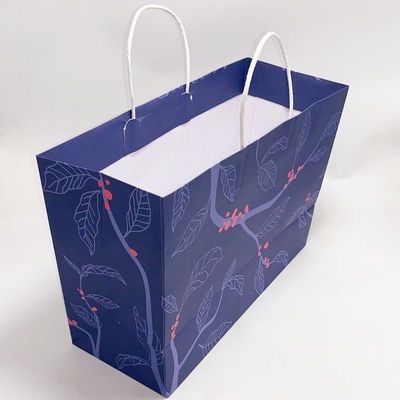 Bon prix Sacs en papier imprimés par coutume avec la poignée en ligne